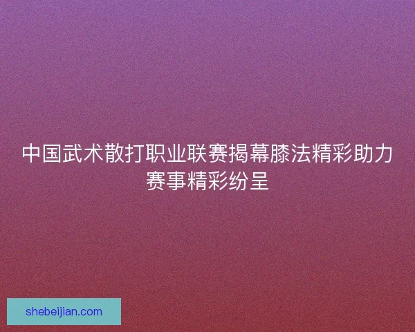 中国武术散打职业联赛揭幕膝法精彩助力赛事精彩纷呈